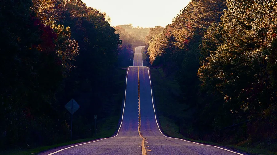 The way of purity