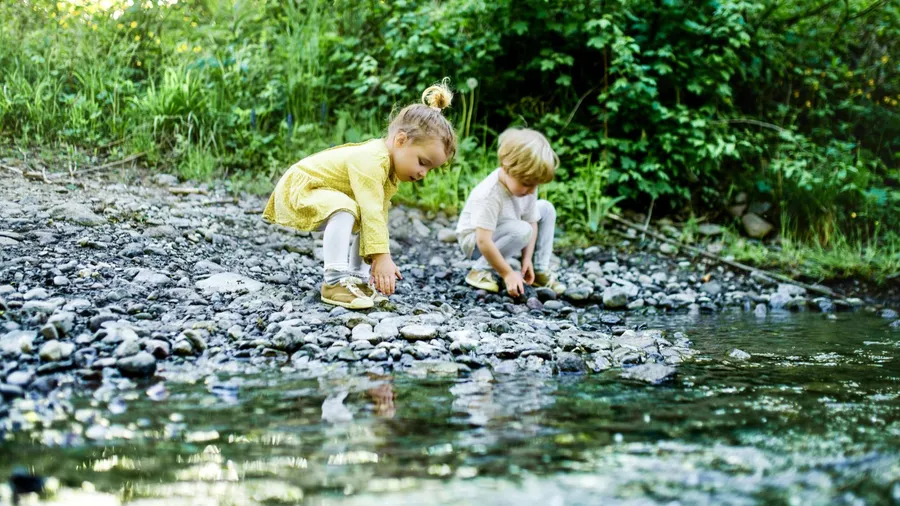 Purification & our children