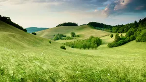 Landscape, context & conflict