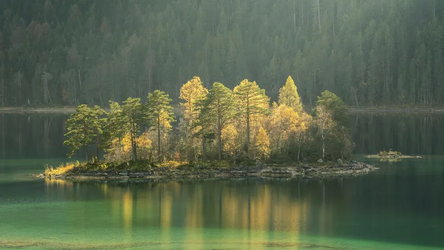 Nature & money