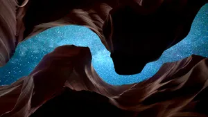 How does nature decide?
