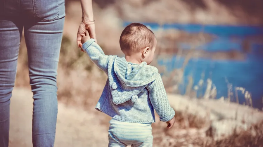 Trust, human relationships & nature's principles