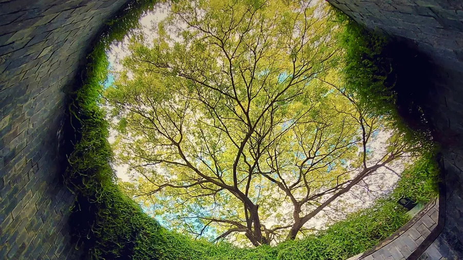 Heaven, hell & nature's cycle