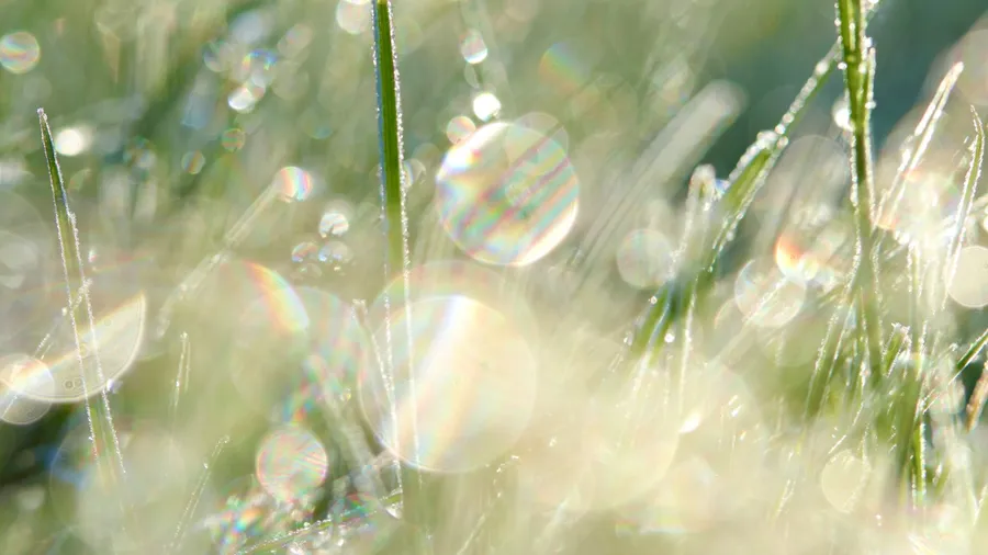 Moving in light 2