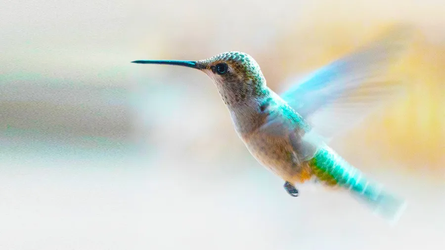 Precision focus 3