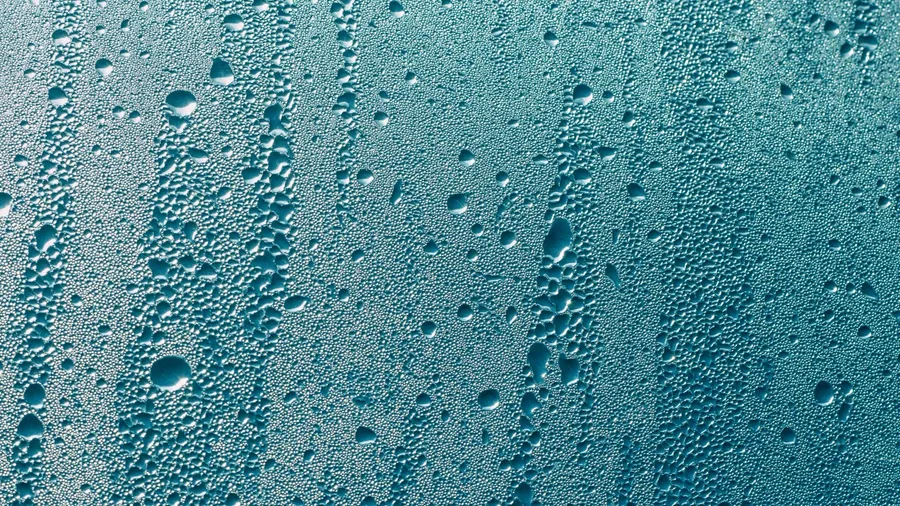 Phase 9 dissolution