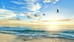 What is universal law?