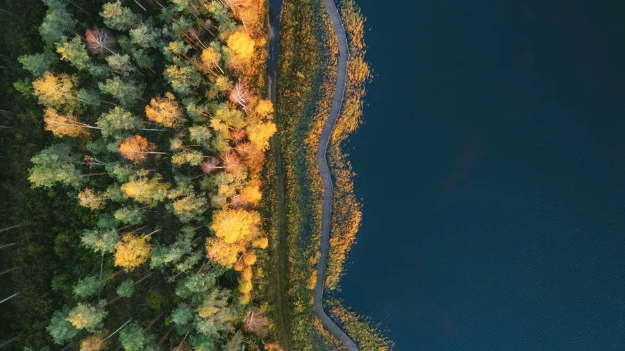 Nature's context & prioritisation