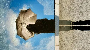 Dreaming & the insert