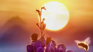 When you get stronger