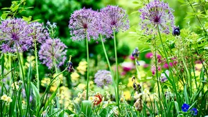 Nature's garden