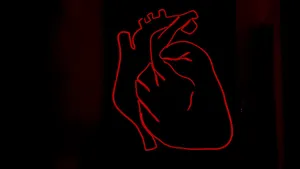 Matters of the heart
