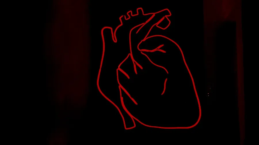 Matters of the heart