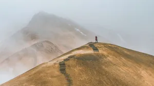 Fear & pain on your own path