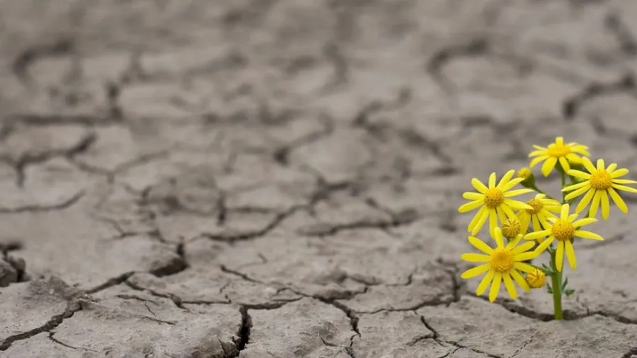 Hope & hopelessness