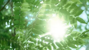 Personal power - the light of you