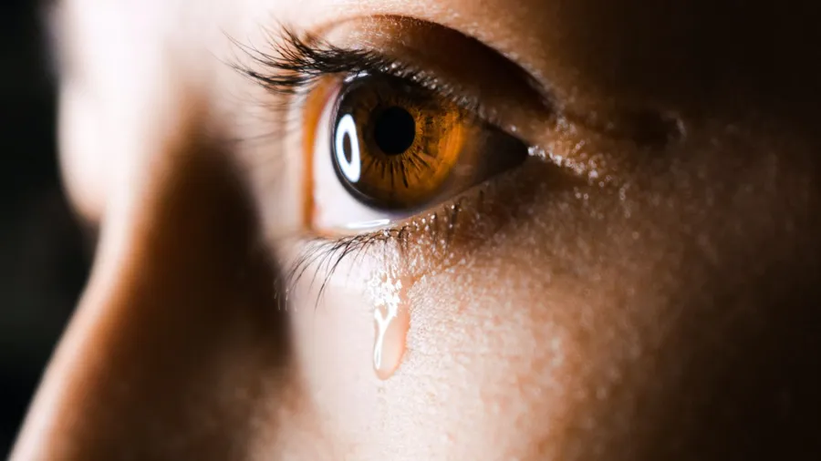 The sorrow of the ancestors