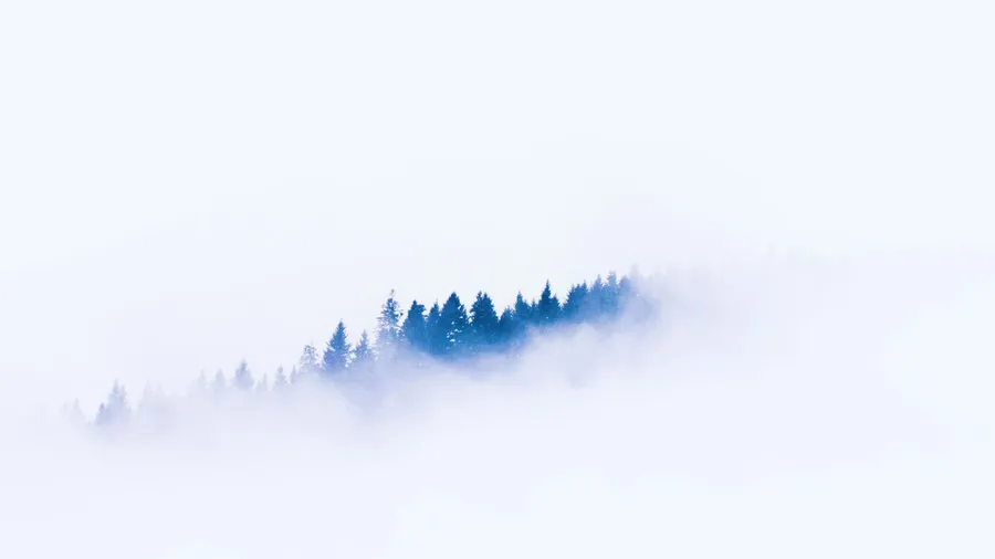 What is hidden