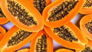 Your immune system